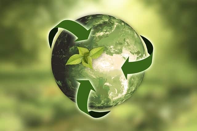 What is Sustainability: A Comprehensive Guide